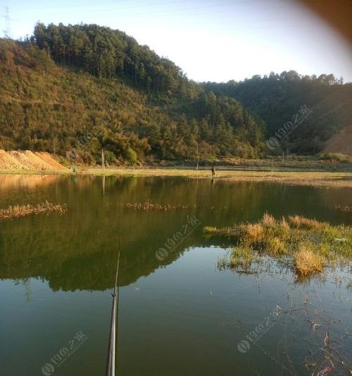钓鱼达人的九大技巧，让你在水域中轻松获得丰收（以野钓水库湖泊野塘为背景）