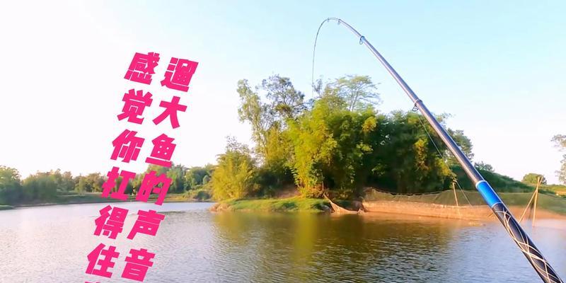 野钓提竿遛鱼的技巧和方法（掌握钓鱼技巧）