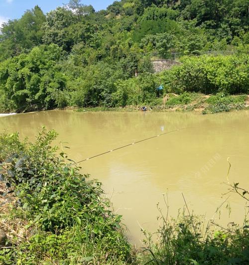 春季水库野钓技巧（寻找最佳钓点）