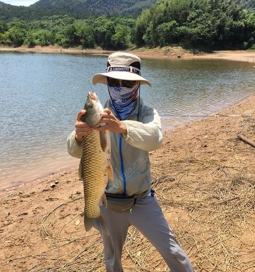 探秘竹林钓鱼之技巧（以简单为主）
