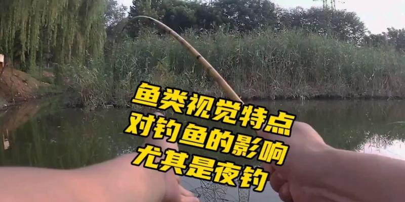 野钓的注意事项和技巧（享受大自然）