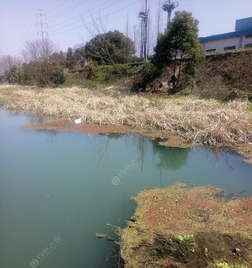 冬季野钓走水打窝技巧（冬季钓鱼技巧）
