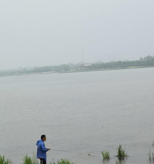 野河沉底钓鱼技巧（技巧实用）