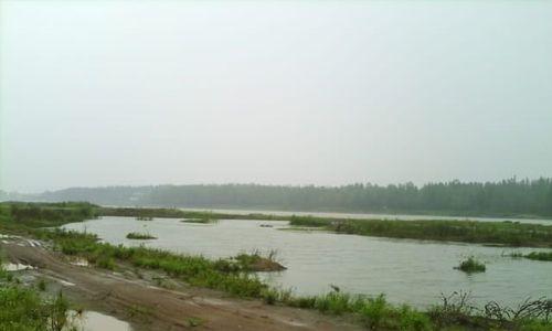 蚯蚓野河钓鱼的技巧与方法（掌握蚯蚓野河钓鱼）