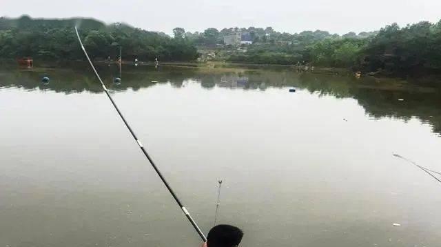 探秘野河洄水湾垂钓技巧（精准垂钓）