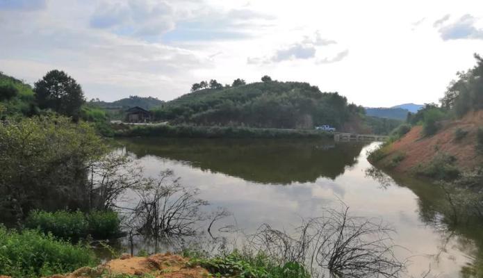 野河洄水湾垂钓技巧与方法（探秘钓鱼新境界）