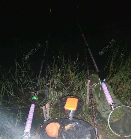 夜钓鲤鱼开杆技巧（掌握夜钓鲤鱼的关键）