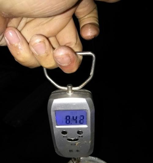 夜钓鲢鳙技巧海竿（掌握这一关键技巧）