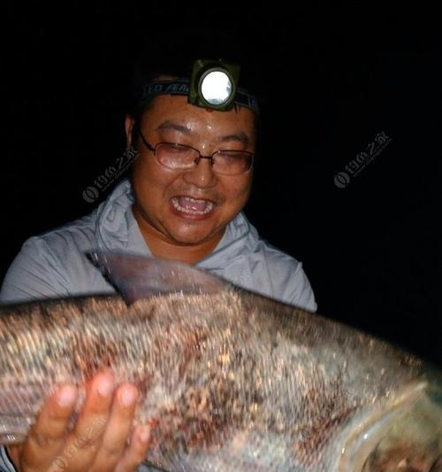 夜钓鲢鱼技巧与方法（探寻夜晚水中的美味——夜钓鲢鱼）