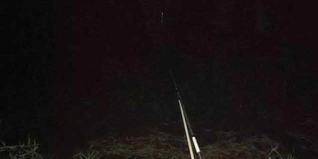 夜钓笼子钓花鲢鱼技巧（掌握夜间钓鱼的技巧）