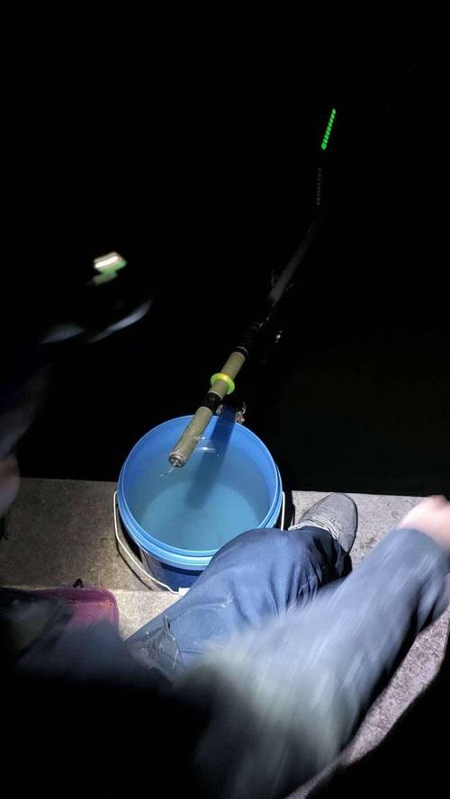 夜钓桥筏走水技巧教程（掌握关键技巧）