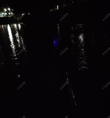 夜钓笋壳鱼的高效技巧（提升夜钓笋壳鱼捕捞效果的实用技巧）