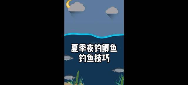 夜钓小技巧与注意事项（提高夜钓成功率的关键技巧与注意事项）