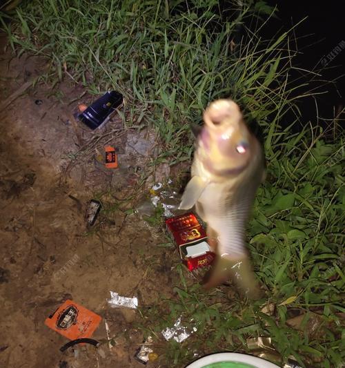 夜钓小鲫鱼的窝打方法与技巧（针对夜间环境的窝打技巧）