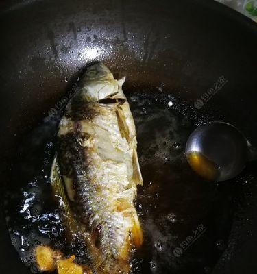 夜钓野钓白条技巧（掌握白条的好时机和有效诱饵）