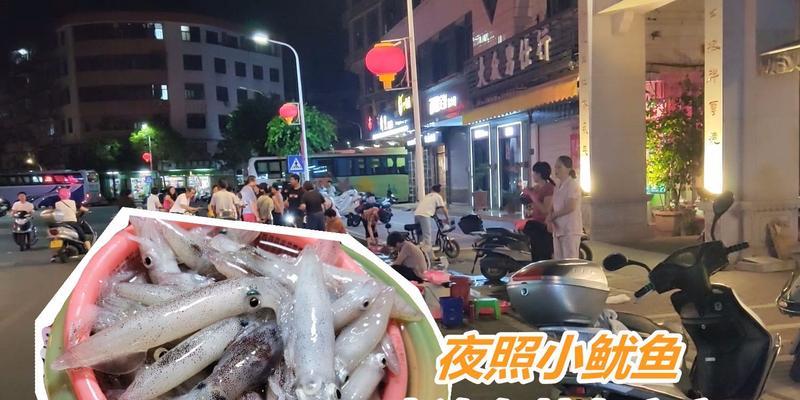 夜钓鱿鱼的技巧与方法（享受寂静夜晚）