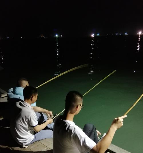 夜钓鱿鱼的技巧和方法教程（探寻夜晚的鱿鱼盛宴）