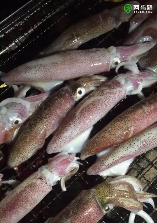 夜钓鱿鱼的正确方法和技巧（享受夜晚的宁静）