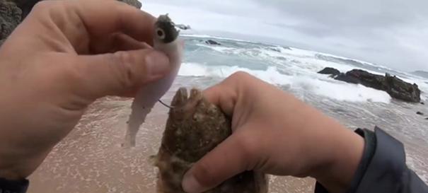 河钓竿钓海鱼技巧（用河钓竿钓海鱼的关键技巧）