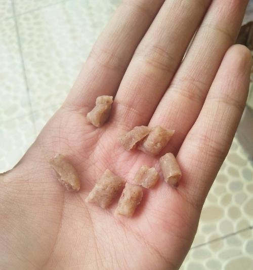 花生粉钓鱼法（技巧与经验分享）