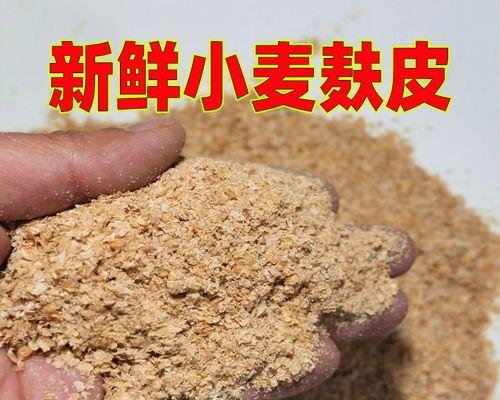 黄粉虫钓鱼技巧（掌握钓鱼技巧）