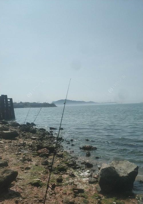 活虾钓鱼技巧教程（掌握这一）