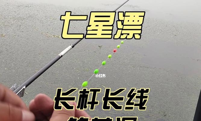巨型浮漂钓鱼的高效技巧（大鱼难逃）