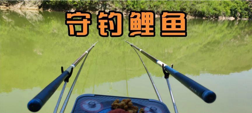 昆虫钓鱼技巧揭秘（以昆虫为饵）