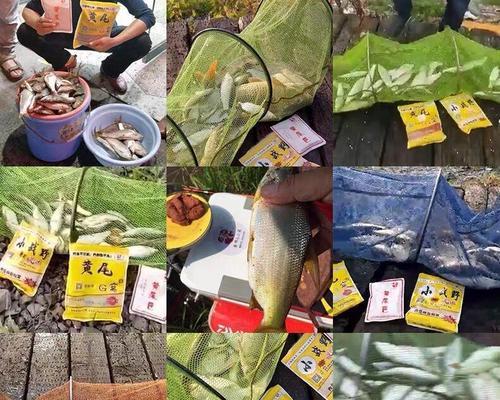 麦芽糖钓鱼的技巧与使用方法（玩转麦芽糖）