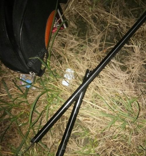 蚯蚓钓鱼技巧大揭秘（让钓鱼成为一种享受）