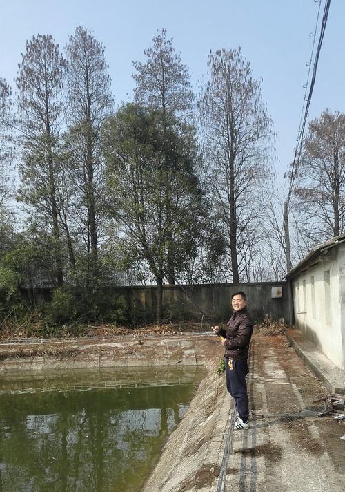 蚯蚓鱼塘钓鱼技巧（掌握关键技巧）