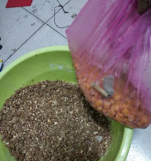 甜玉米钓鱼技巧大揭秘（甜玉米钓鱼技巧）