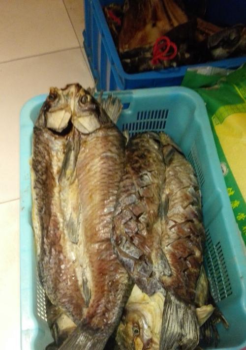 羊肉钓鱼的技巧与经验（用羊肉钓鱼的关键步骤和注意事项）