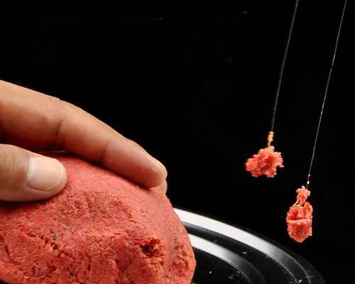 钓鲫鱼的鱼饵技巧（掌握正确的鱼饵选择）