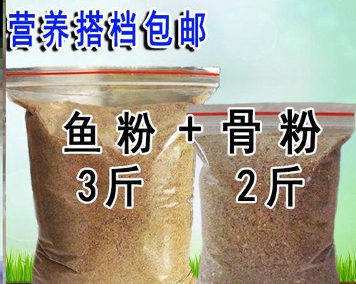 鱼粉钓鱼的绝佳技巧（钓鱼达人分享的必备技巧和窍门）