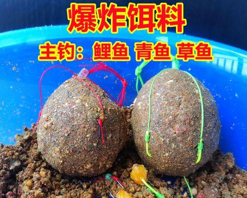 钓乌龟的技巧（用鱼钩成功钓乌龟的秘诀）