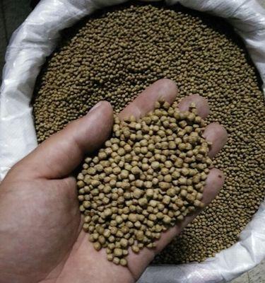 鱼塘饲料钓鱼技巧（钓鱼高手教你如何利用鱼塘饲料成为捕鱼达人）