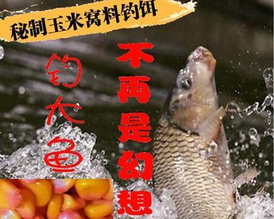玉米粒野钓的技巧（享受乐趣）