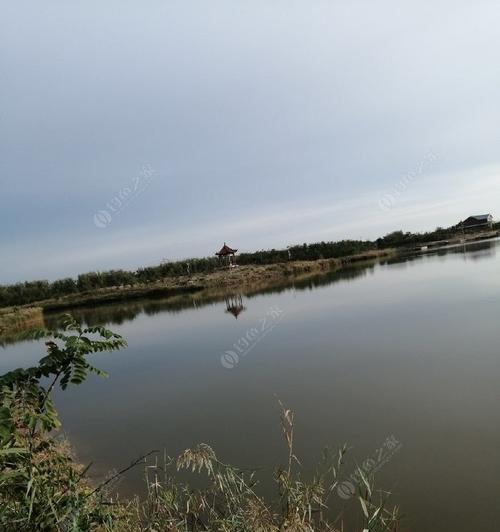 尤家河钓鱼技巧（掌握技巧）