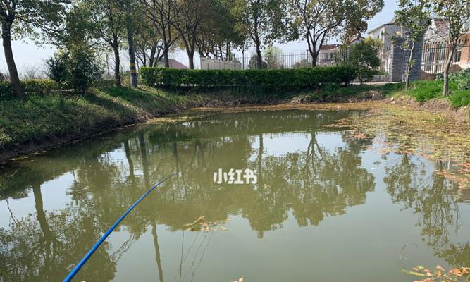 钓鱼技巧大揭秘（游乐设施中的垂钓乐趣）