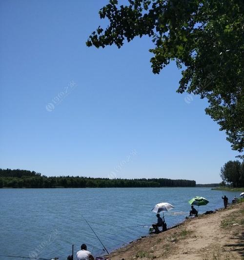 野河钓鱼技巧（充分利用浮草）