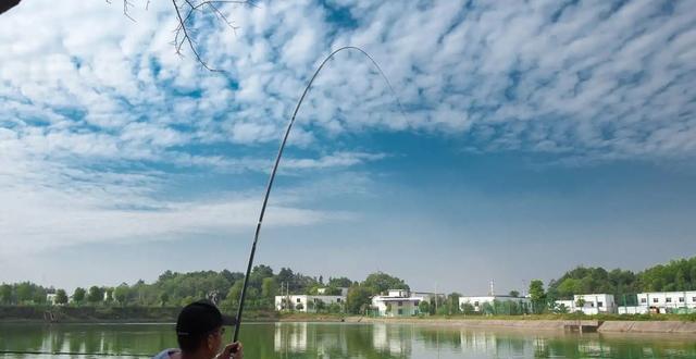 钓鱼技巧升级攻略（掌握最新技巧成为钓鱼高手）