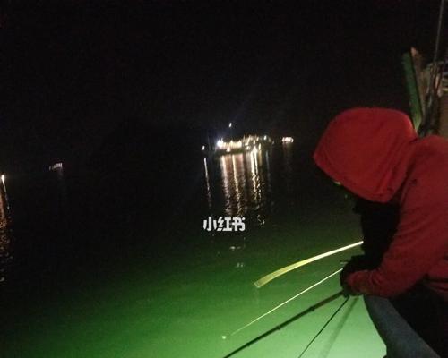 越南夜钓鱿鱼的方法与技巧（探秘越南夜钓鱿鱼的诀窍）