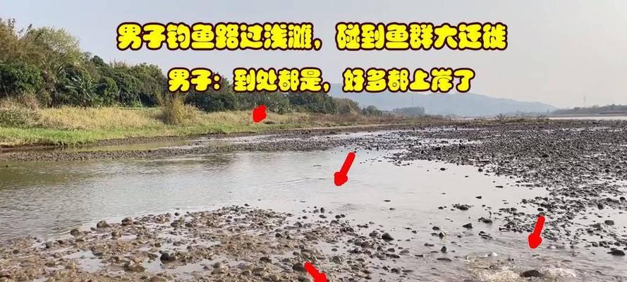 云浮冬季长江钓鱼技巧（挑战寒冬）