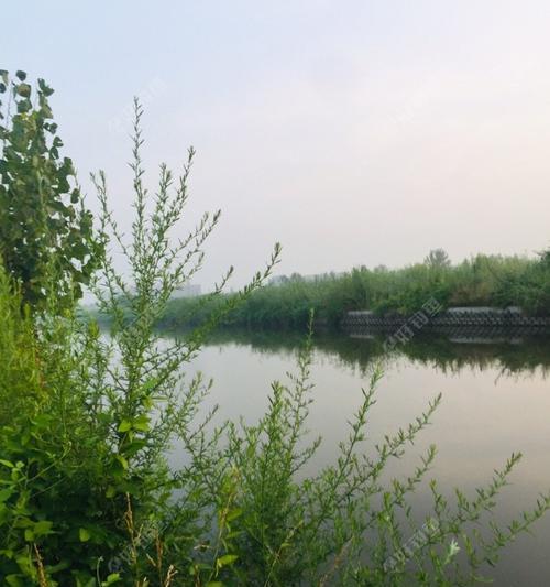 云鹏钓场一月钓鱼技巧（云鹏钓场的冬季钓鱼技巧）