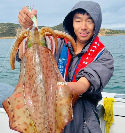 岸上钓鱿鱼技巧（掌握钓鱿鱼的窍门）