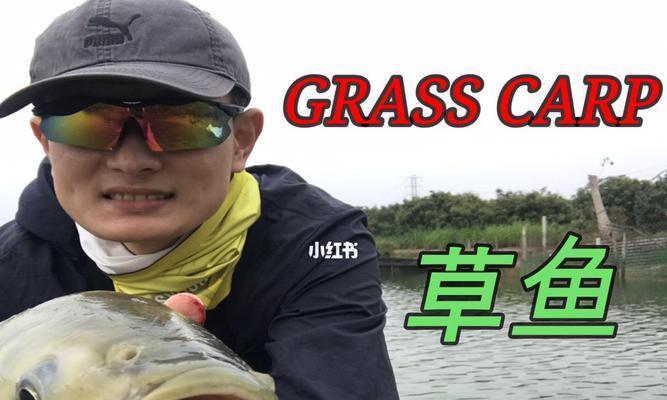 澳大利亚钓鱼技巧大揭秘（掌握这些技巧）