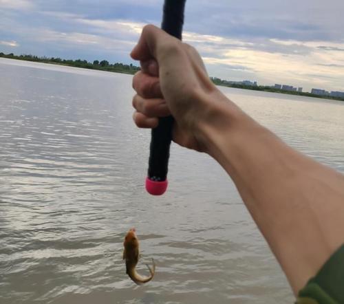 大河里钓鱼的最佳方法和技巧（钓鱼爱好者必读）