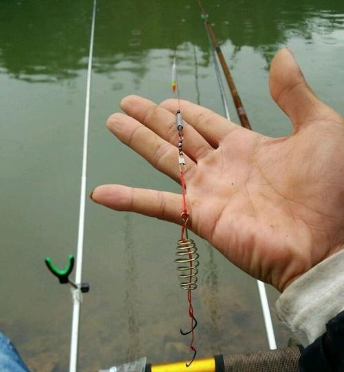 大河秋季垂钓鲢鳙的技巧（掌握正确技巧）
