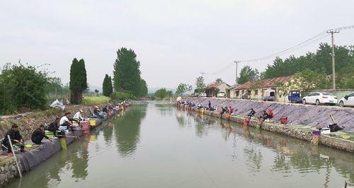 肥水钓鱼技巧（掌握关键点）